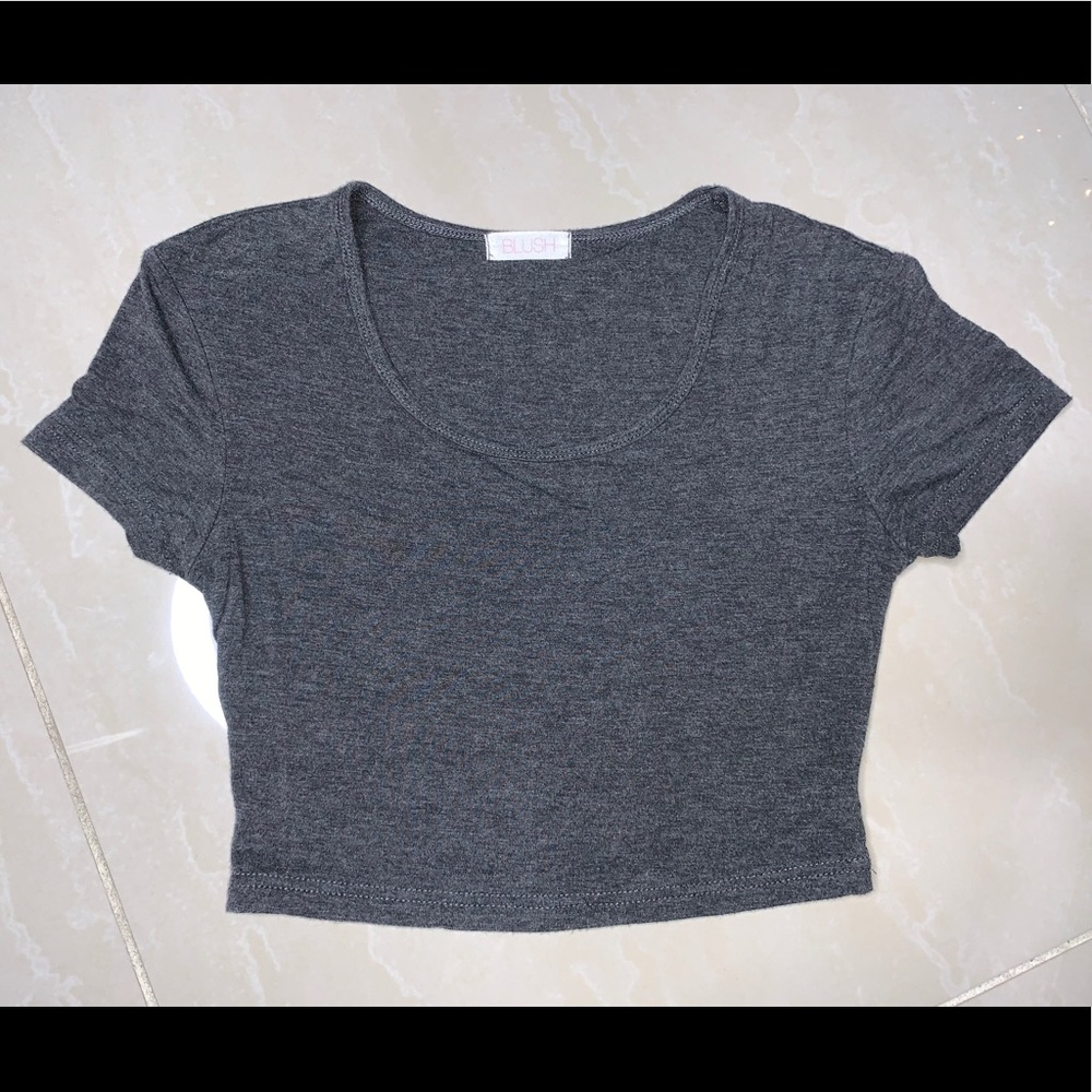 BLUSH Boutique Grey Crop Top